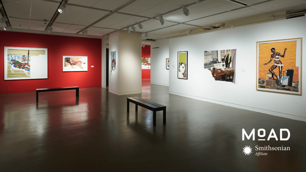 MoAD_Exhibition Gallery