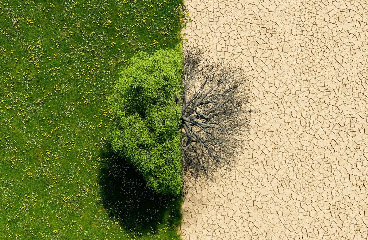 Green landscape half in drought