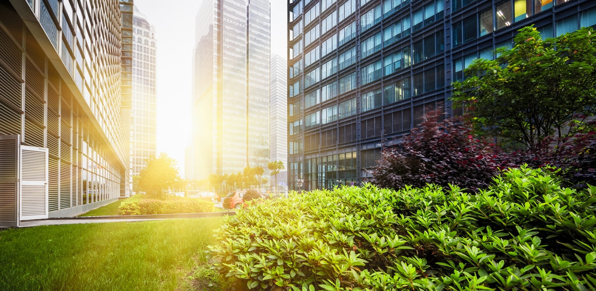 Office building and green space in Shanghai