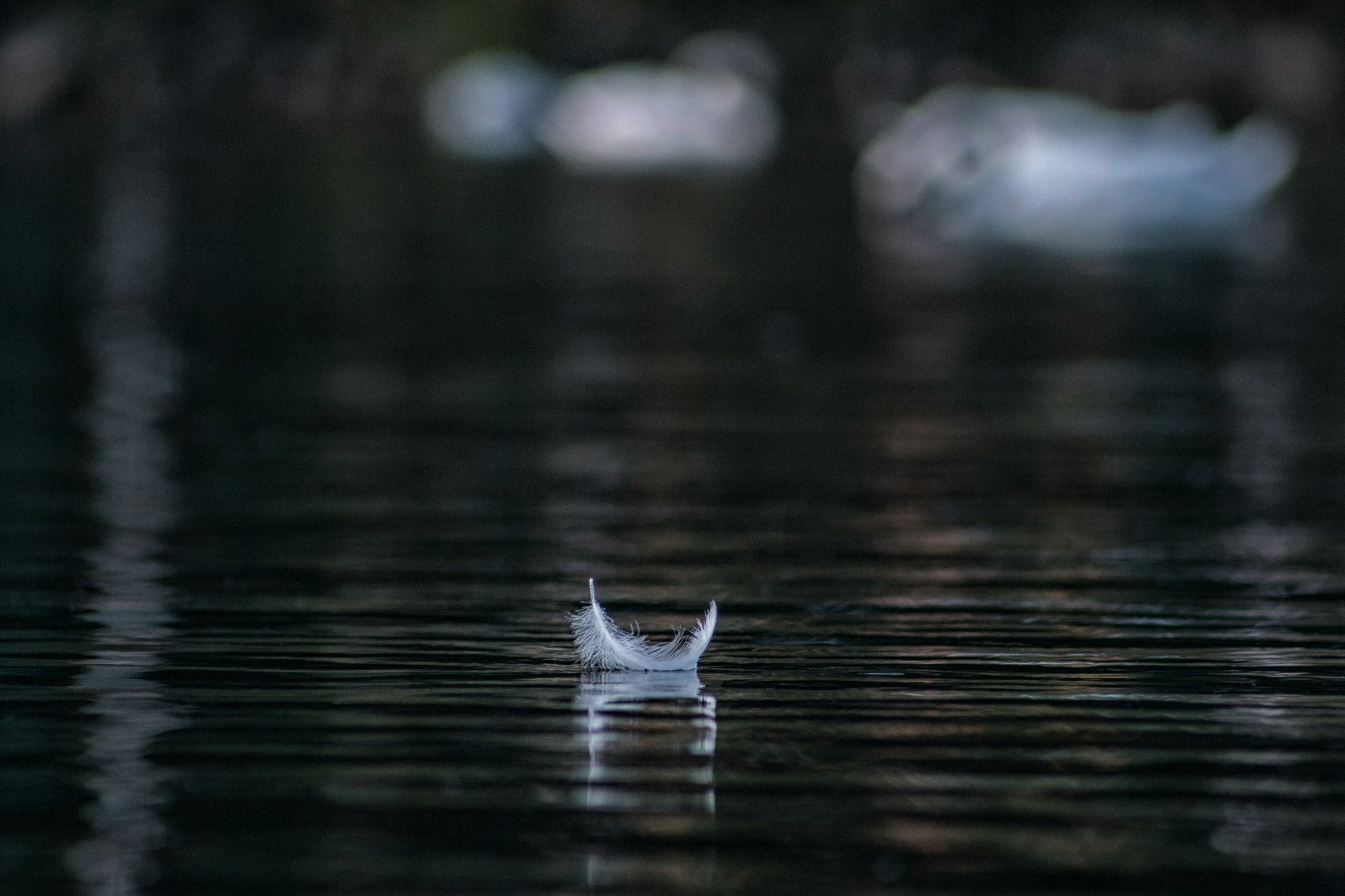 Feather On Water 1 min